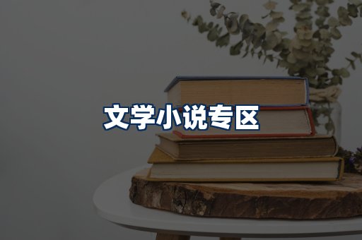 文学小说PDF展示